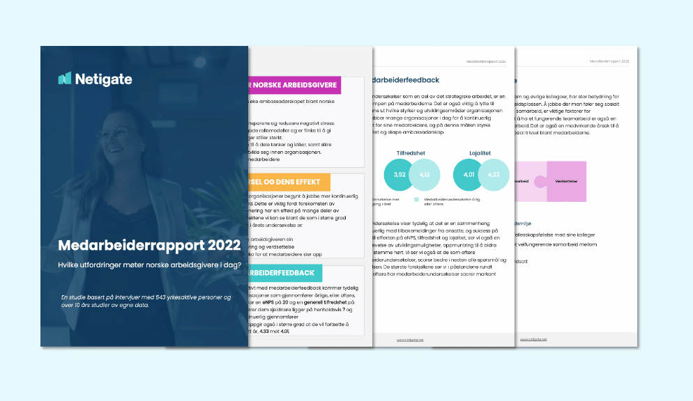 Medarbeiderrapport 2022