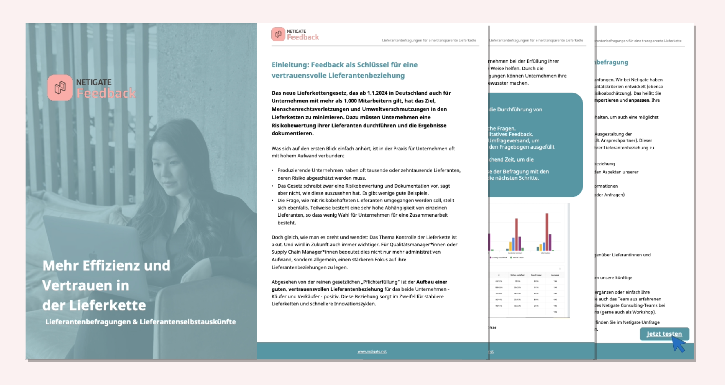 Lieferkettengesetz_eBook_Preview