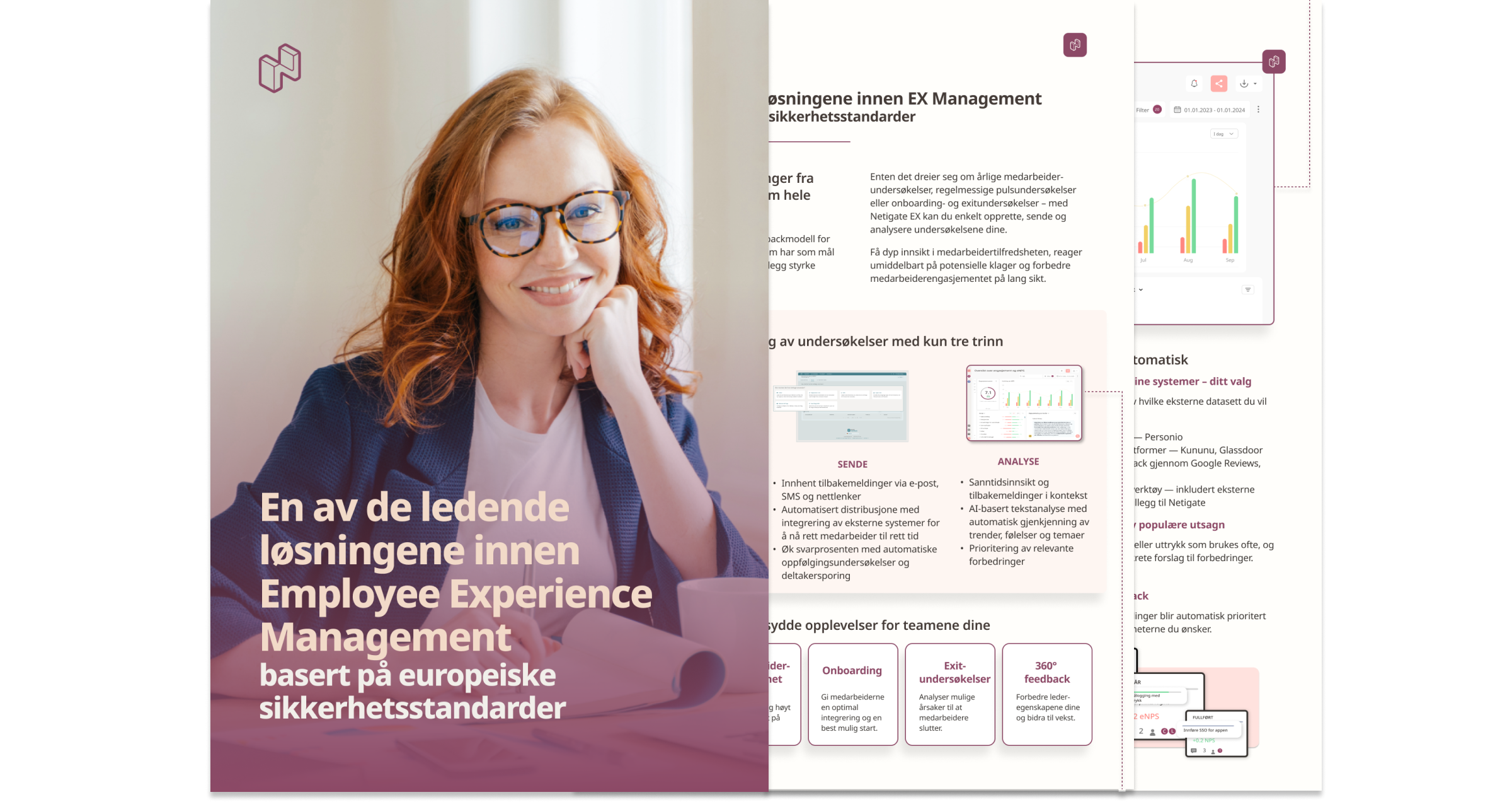 En av de ledende EX-løsningene i Europa_Netigate EX-brosjyre