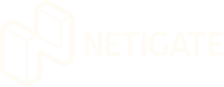 Netigate Logo white